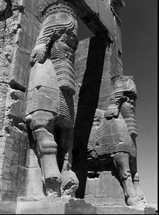 تخت جمشید