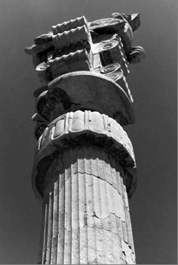 تخت جمشید