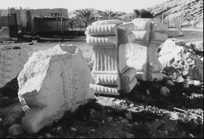 تُمب بُت