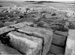 اردشیر خره